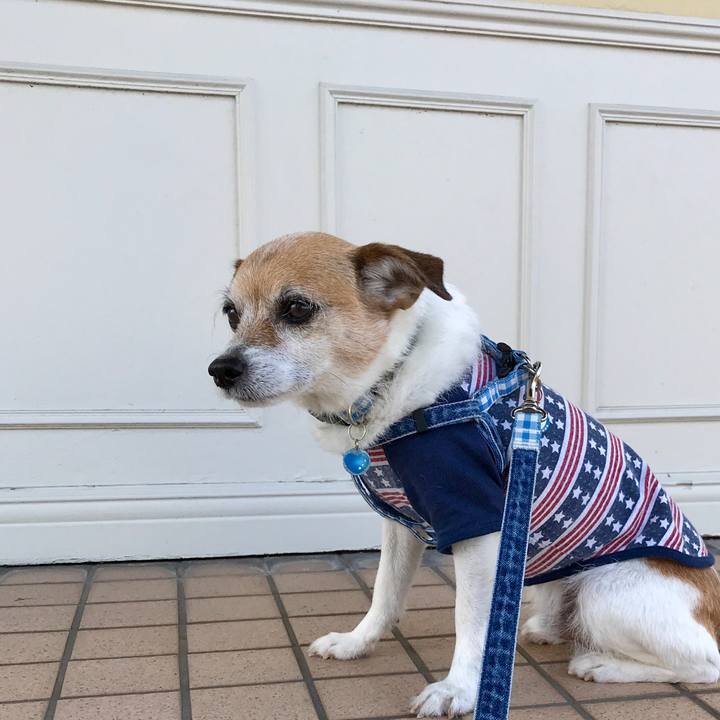 4dc8daa3 57e3 4c2a b6e3 8b8a384dc5fd 1618905645406