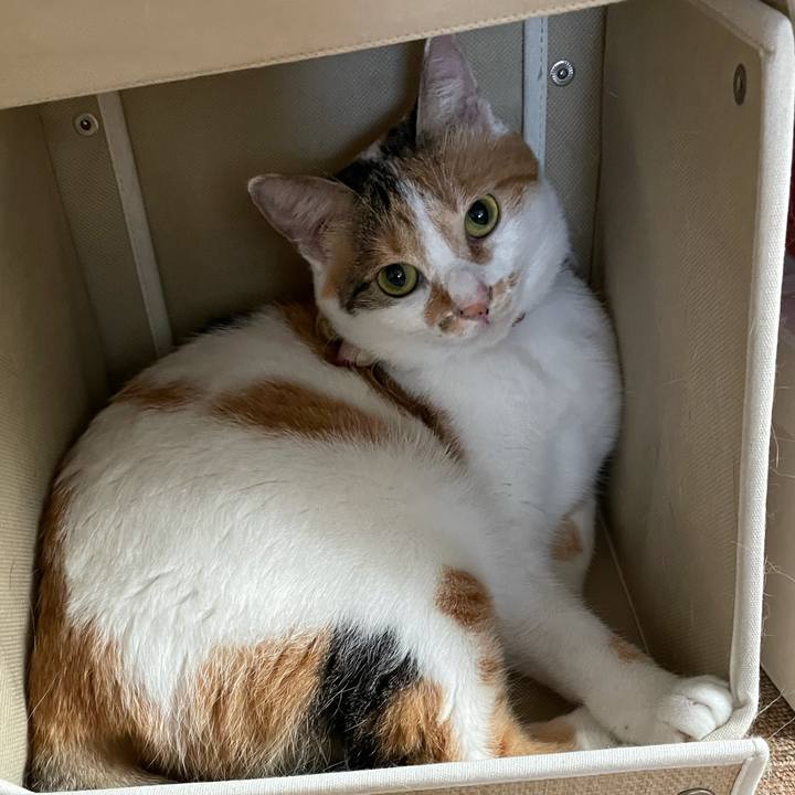 4dc8f25c b04f 47b8 b52b eed17191e7c9 1632025727366