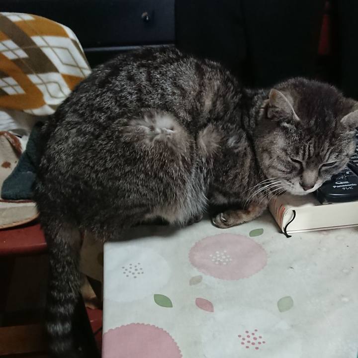 4dc90ef9 8a51 43df 892b 21f0c70c7673 1552774729932