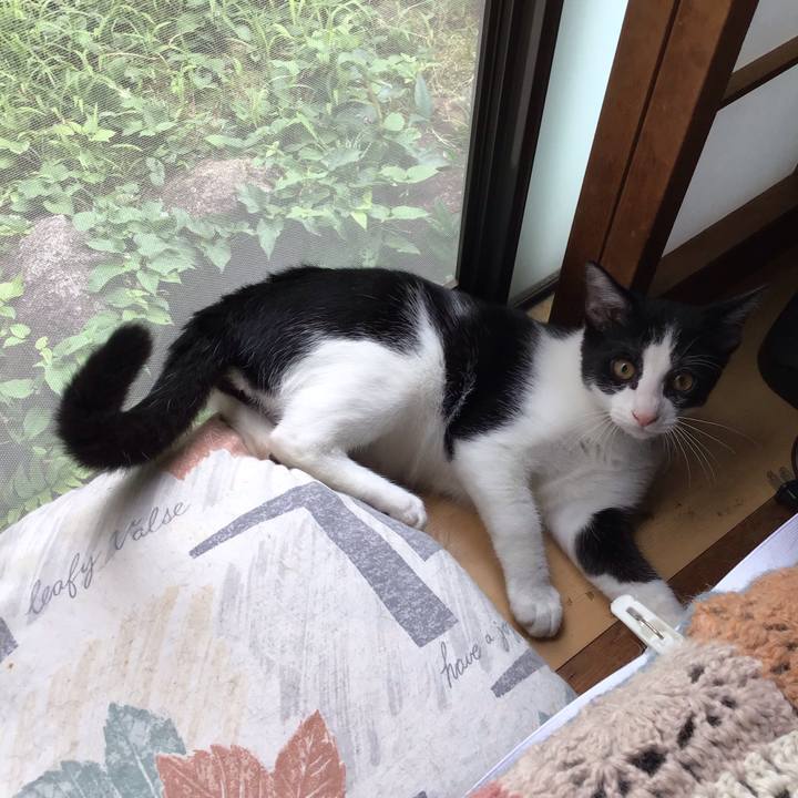 4dc91e6e e3c9 4e2d a88c 717f0e230ac9 1630820710510