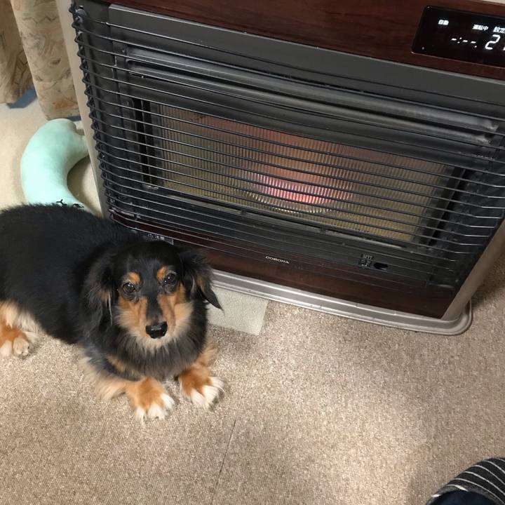 4dc970d4 2bbd 4566 a64b 74b9232821c7 1539724184865