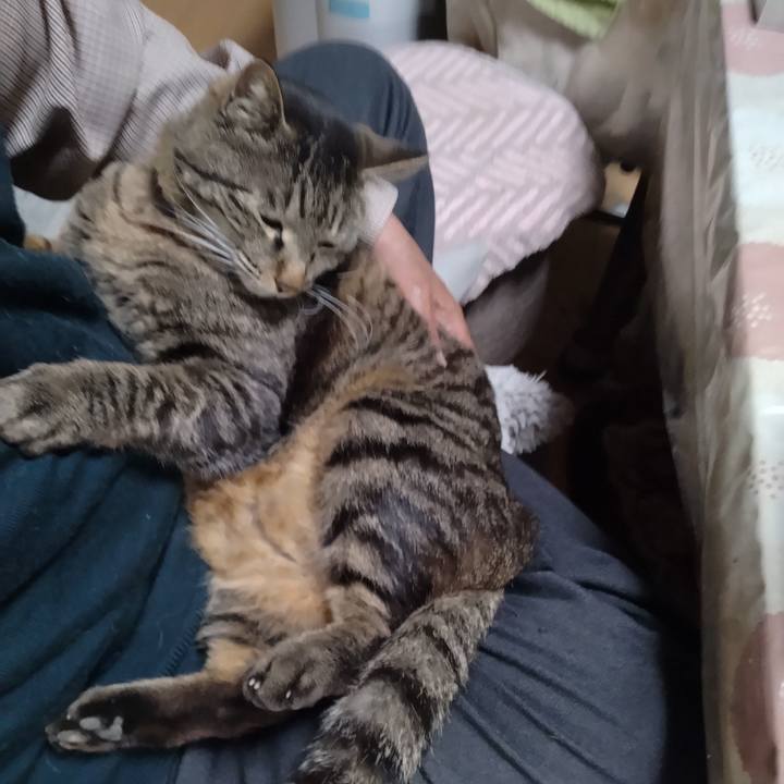 4dc982f1 1343 49a8 9ab6 a413165a6f70 1681518212296