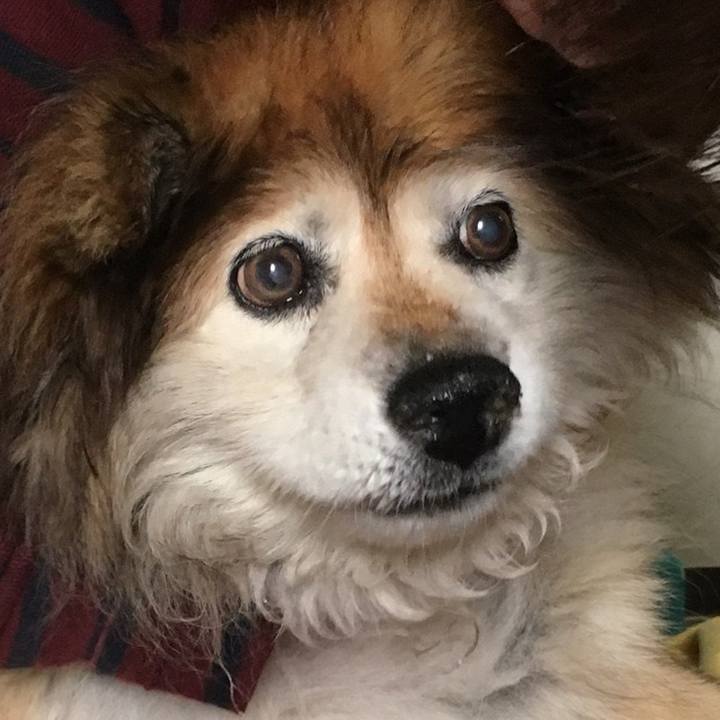 4dc988b4 3731 456c a6a8 df2177828829 1591622462958