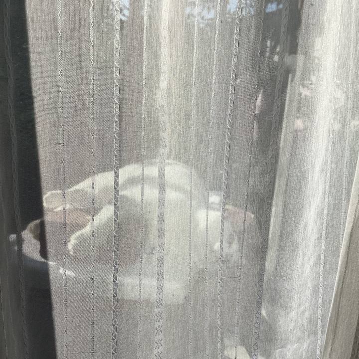 4dc9cd89 5abb 4963 9280 5f1153fab589 1728960823296