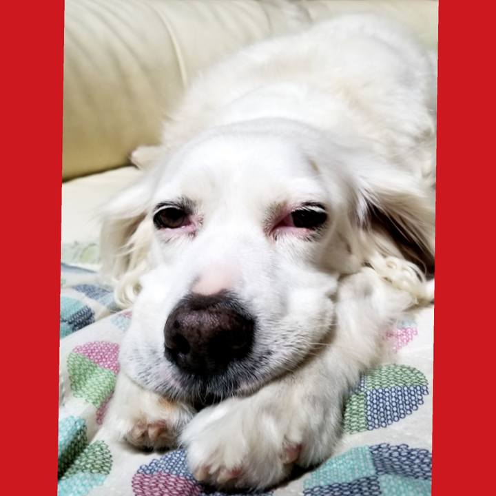 4dc9d1c9 5e58 4e85 bfb5 2014f114803e 1594899230317