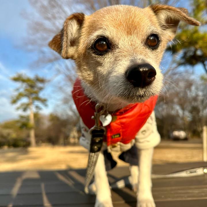 4dc9dbb3 8683 48c9 8b2a 1f2f46e47153 1674374405100