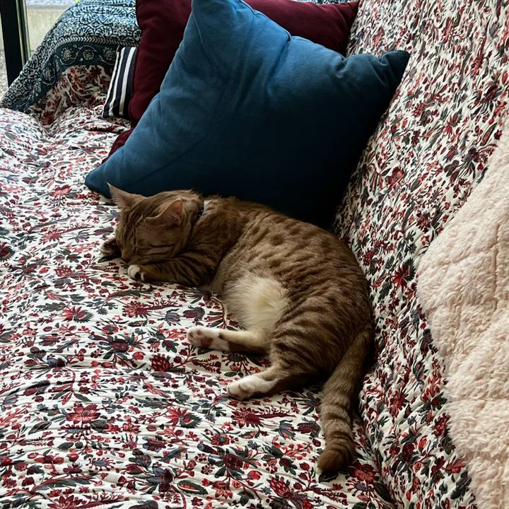 4dc9fe56 be7e 4ebc b54e 650226e54784 1659079405260