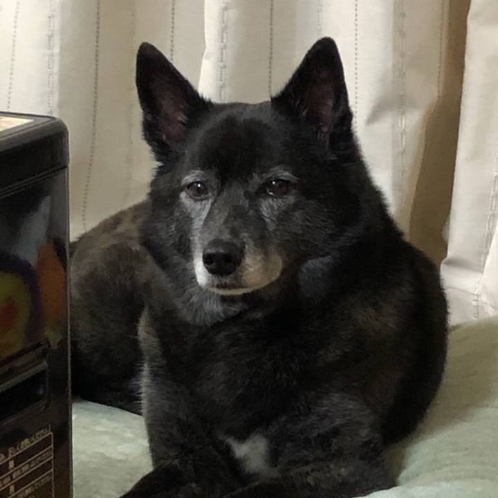 4dca03d6 d305 4517 9905 1209604b78d7 1517983196326