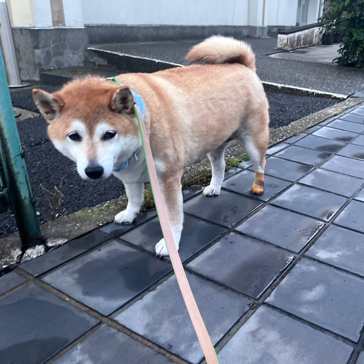 4dca07e7 fe17 411e a7bd 39b2663de094 1720260373721