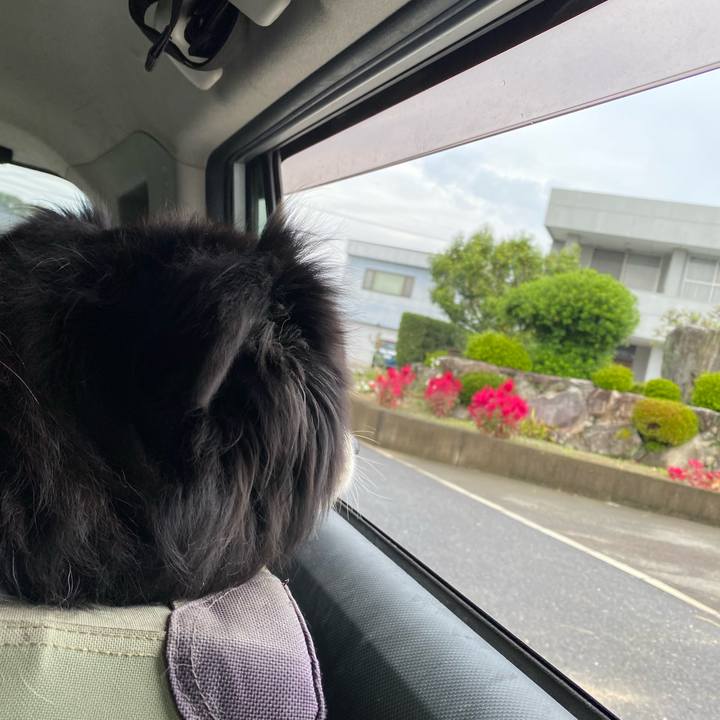 4dca3db4 42ea 4e13 be82 dcd894bc99b5 1665967635464