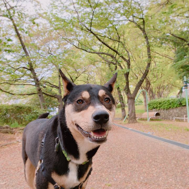 4dca781e 9fb5 47a3 aa8a 789daed0b9e4 1556087290186