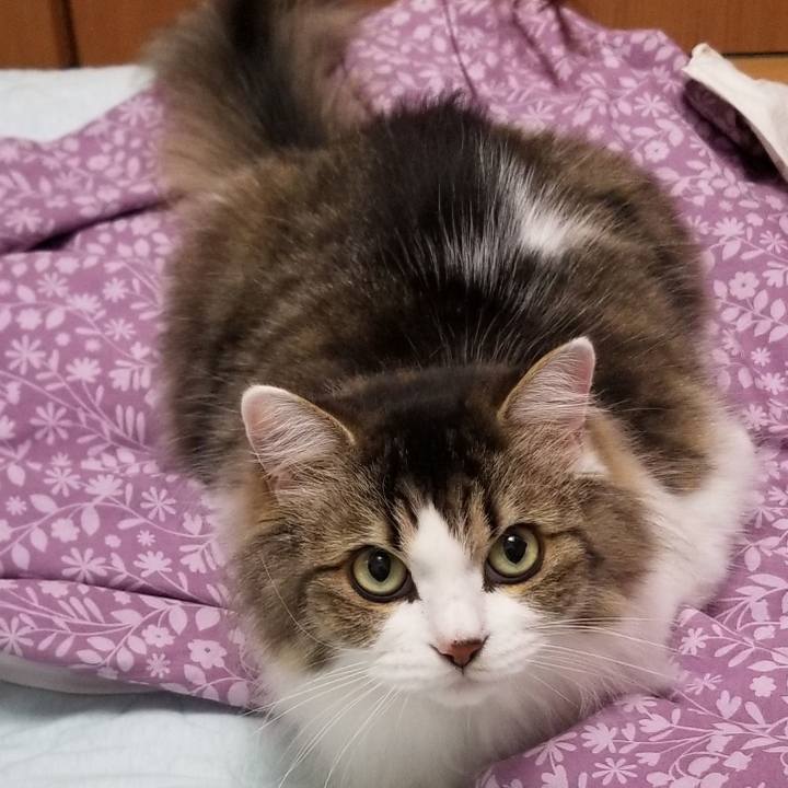 4dca845b acec 4372 8bd1 40139c39ecb4 1598481164167