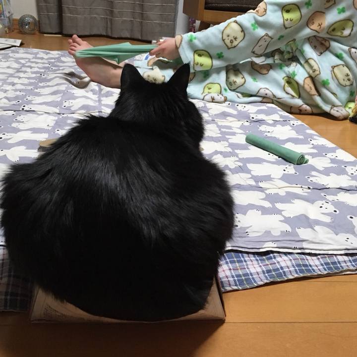 4dcac3aa 6a3a 4d7b 910a 59c0bc662338 1523366382176