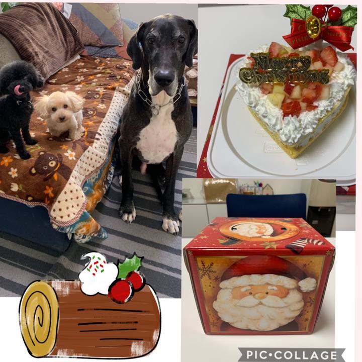 4dcad1db 3765 4d5b a7c1 90d959275001 1545650247420