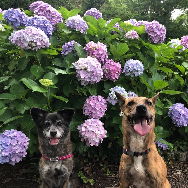 4dcaef41 fa29 4e32 9559 1ea42176cbf5 1655358613266