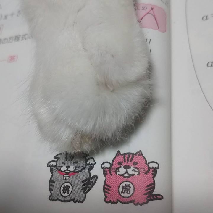 4dcb0153 b43e 4745 8772 7516832a3c55 1626538312787