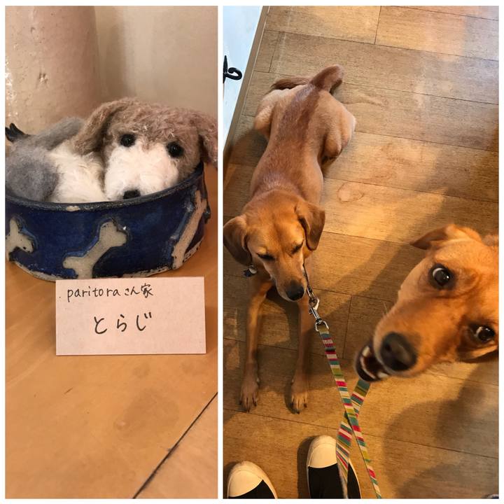 4dcb11fb 712c 479c a6ad e64264f97a09 1540015061854