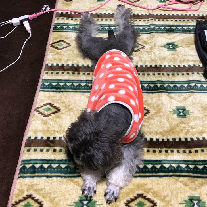 4dcb6949 9fa5 4ca4 bcbb 19322b9c591d 1550844107450