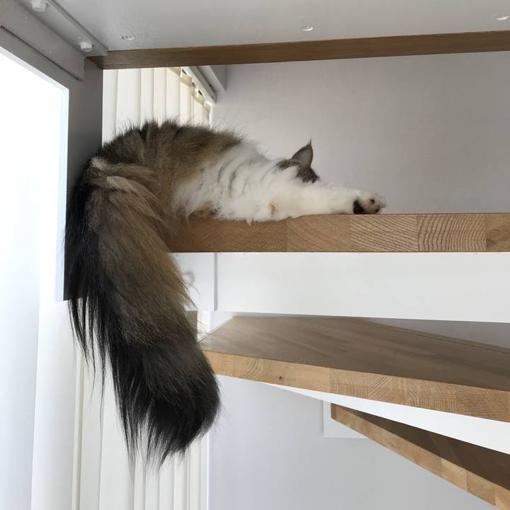 4dcb70b3 3f27 47ac 898c ab92ef39f724 1536121701469