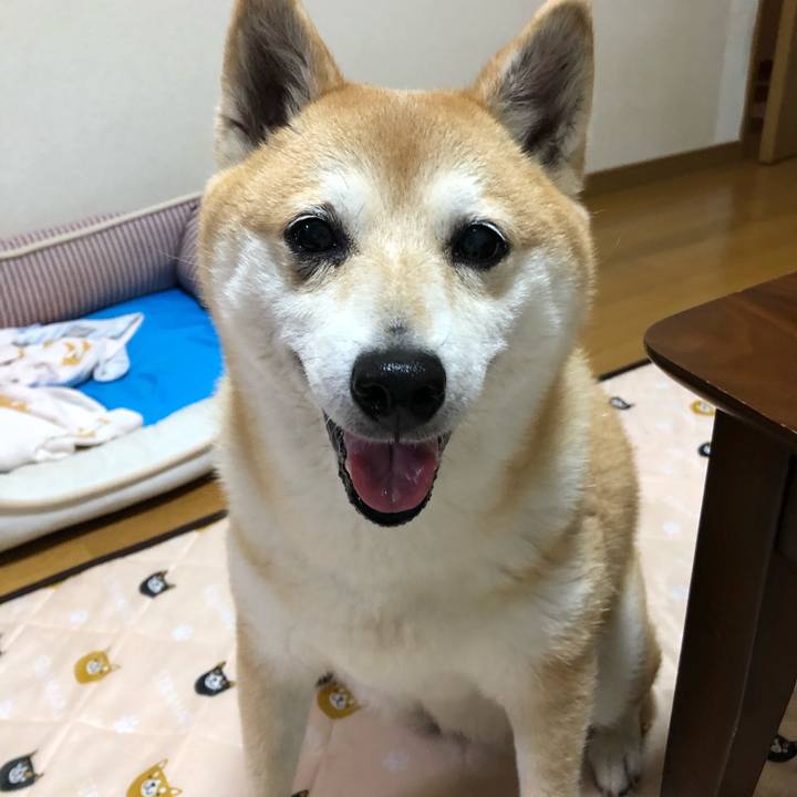 4dcb731f fa94 4819 a638 afa4421b7334 1589639722306