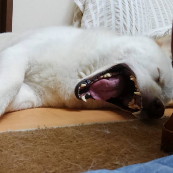 4dcbad49 4b68 47d8 83ec c3b79fba0f8d 1564813185668