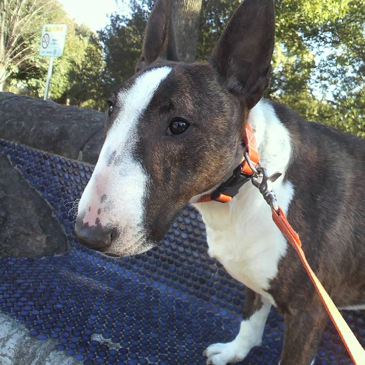 4dcbf495 2a2d 43e1 b76f 0beb346426d5 1609658684164