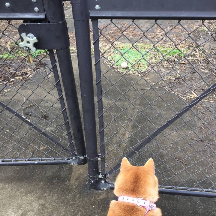 4dcbfb36 5921 423c a586 78c660b73971 1543906534896