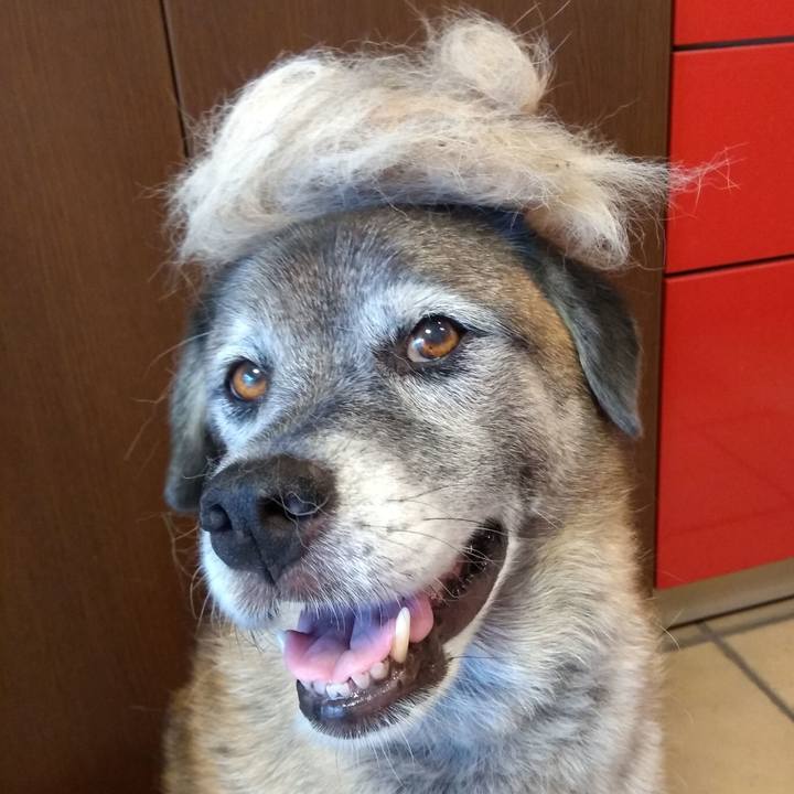 4dcc10cc 0c68 4de7 8c72 d10cd02d2a32 1568366766668