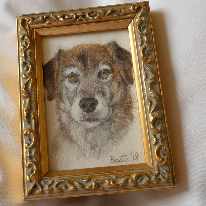 4dcc19ff 81a5 4cfa 8ef9 491455d3122c 1553665790134