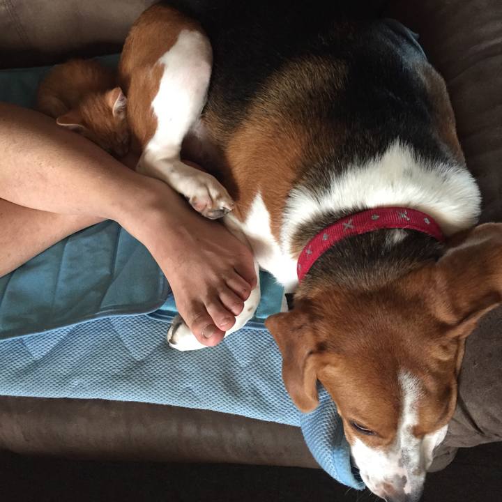 4dcc1f20 bb31 4d5f 8775 7e865da4bf23 1534589997295