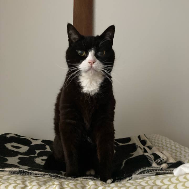 4dcc2631 cd9d 409d 8393 04564d87c4c0 1617062579688