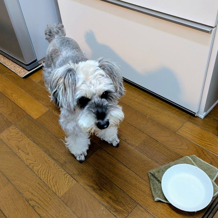 4dcc7a93 72c5 43b8 adb7 9bac4a102fdd 1762047294358