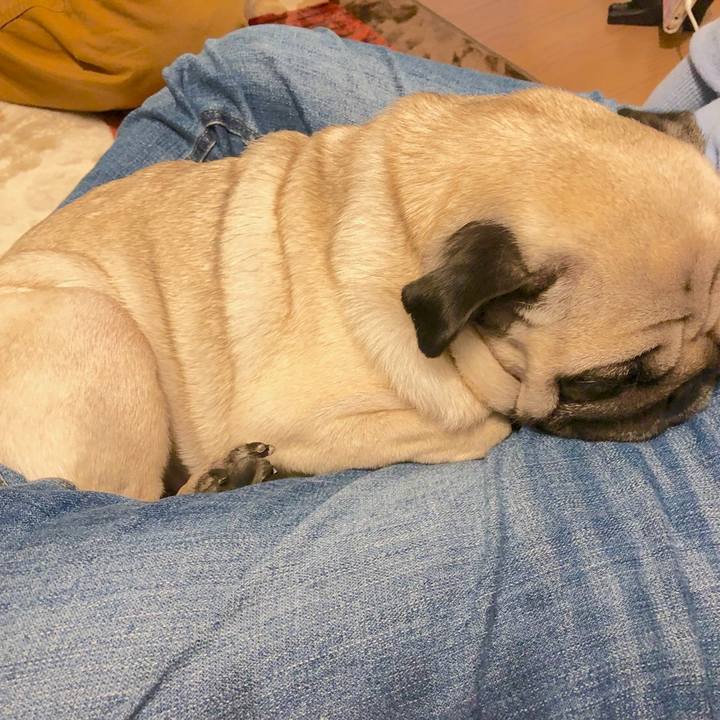 4dcc8e65 9e4e 4910 8e67 6c593498c1c5 1511181603149