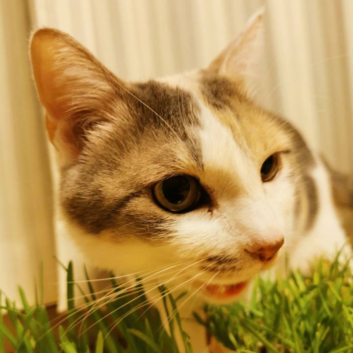 4dccc2de e95f 4503 9a64 c03198ab05df 1647578603659