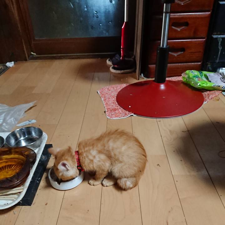 4dcce766 c94d 4e0e a920 75bff6b01b12 1629319562779