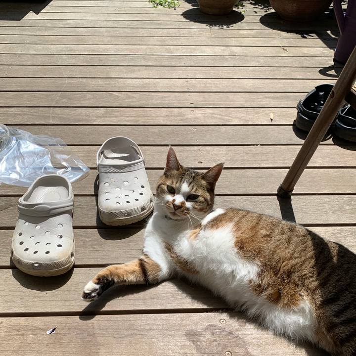 4dcdc60c f988 4687 a976 e18ded109ec0 1586140812508