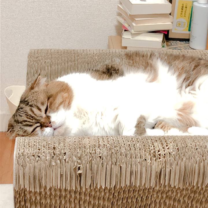 4dcde44c 38be 4c4e a60e 36e938a6ac8d 1568191238854