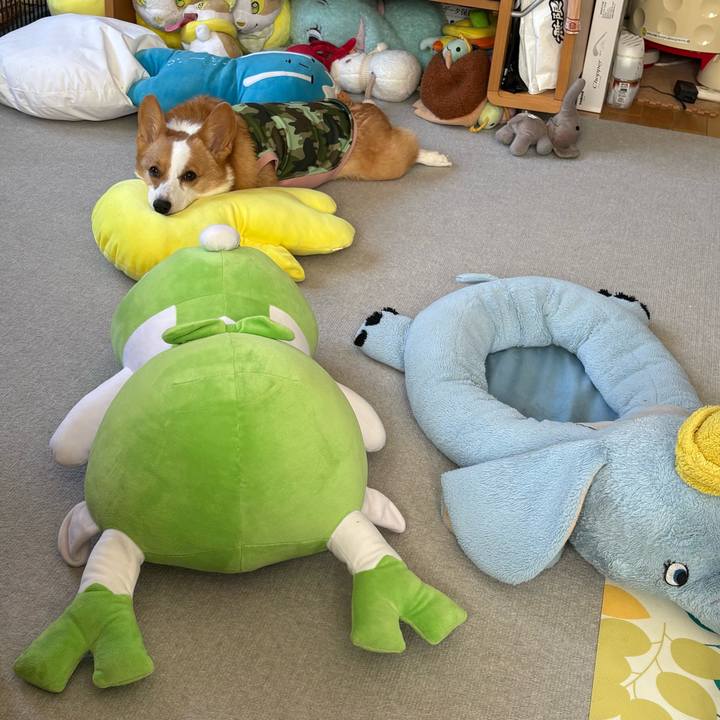 4dcdec05 72b3 4529 b3ba 087ad202647f 1771645251516