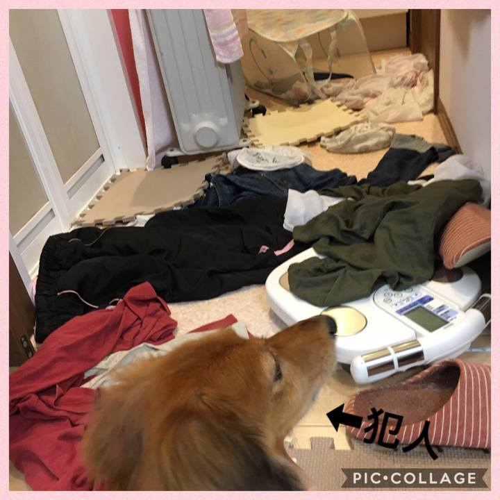 4dcdfedd dec2 4e16 975d 0d044a7ebae9 1542377047316