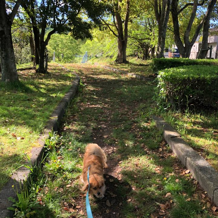 4dce55d2 eb22 42af 95c0 6a22b9637c52 1556324088769