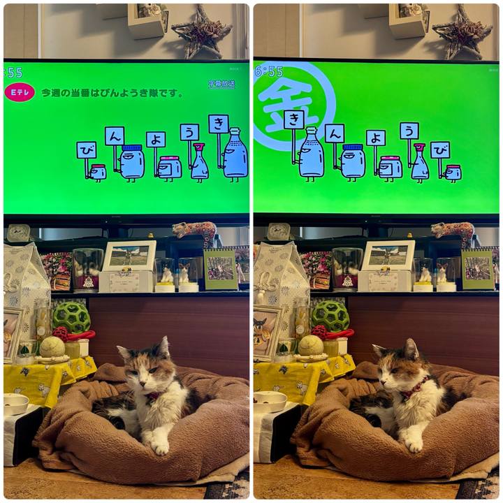 4dceabd3 5f13 4a37 9719 b93f91c10b8d 1744323848335