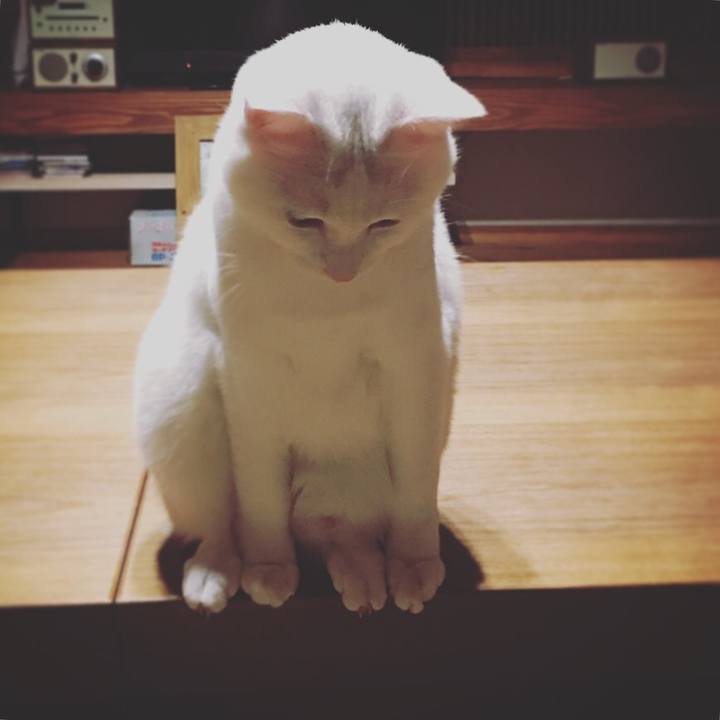 4dceb304 dfed 46e8 9953 8efc7d3c7eef 1542673096282