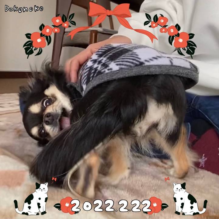 4dcebcf4 a423 4750 8771 2b68cd15beb6 1645493966585