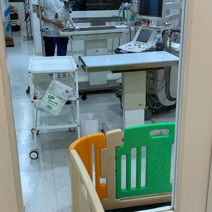 4dcec2e0 0aa1 45e1 a01d 1cb78e79dfa5 1629383007252