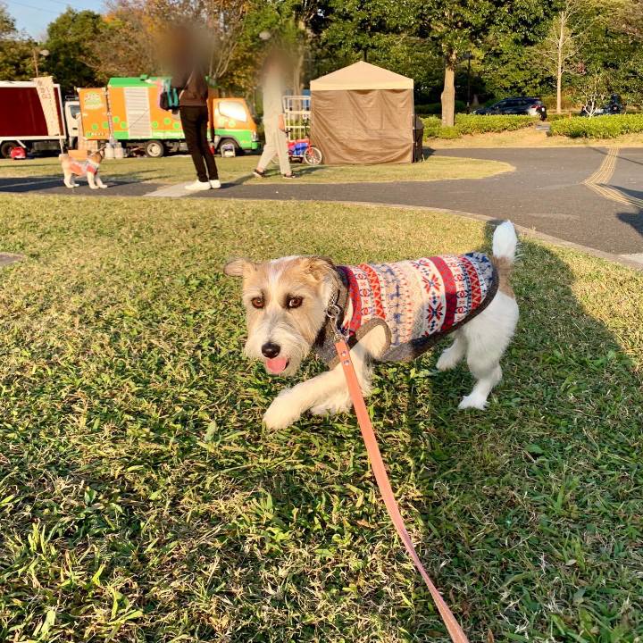 4dcedf5a 21de 4734 a689 ef99d0d3efe1 1668256883319