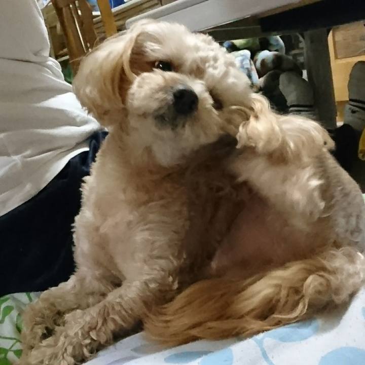 4dceec4c 98eb 4442 9763 2332340faca8 1524995353248