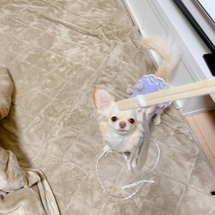 4dcf17ff 49e0 44f8 a710 a77c3a2b7dfc 1615617556665