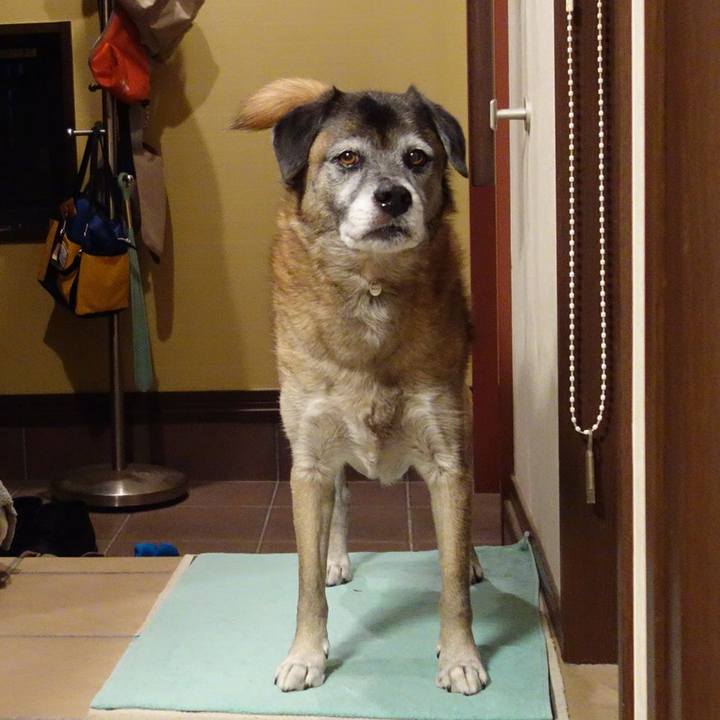 4dcf3f38 0228 46d2 ab00 181b0486b5e1 1651800160179