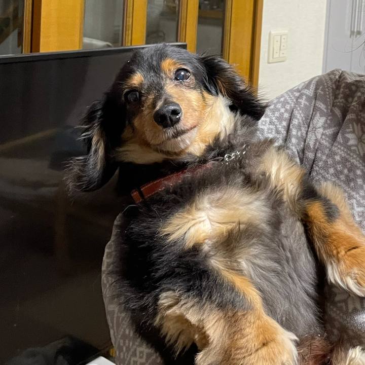 4dcf4685 4133 4dfc b8ce 662563ceaffa 1621979912218