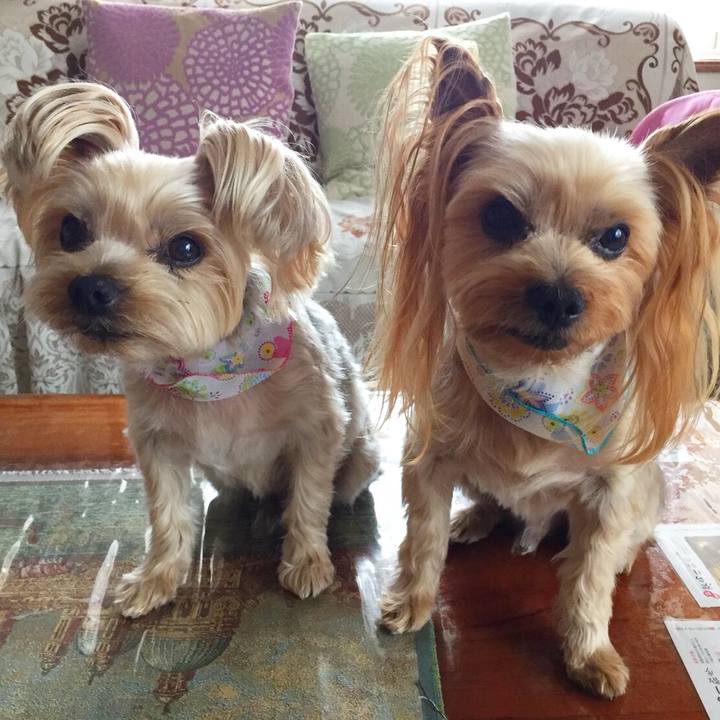 4dcf7b42 6339 4eae 9ae9 a37377c57d39 1524645487603